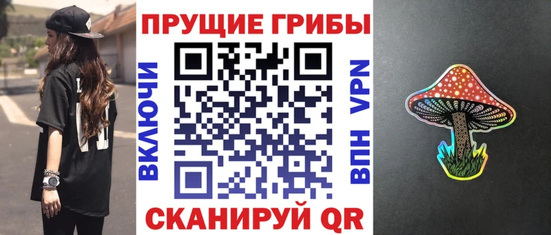 где продают   Азов  Псилоцибиновые грибы MAGIC MUSHROOMS 